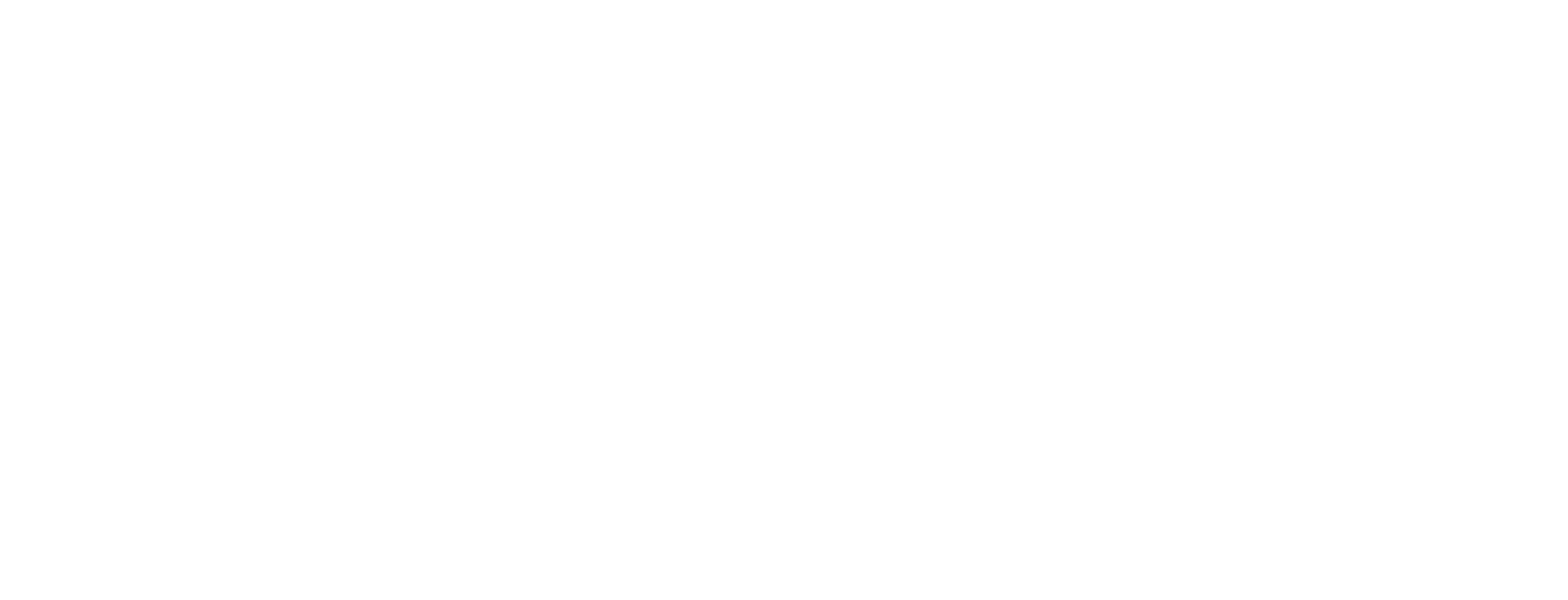 Pro Partners